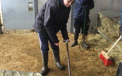 Animal Management students working hard this winter at Fairfield Farm College