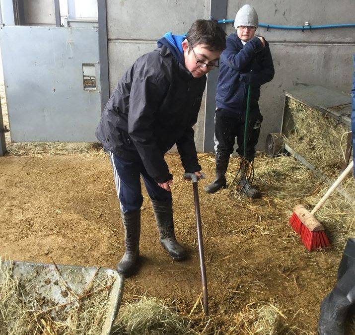 Animal Management students working hard this winter at Fairfield Farm College