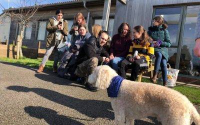 Trainee therapy dogs join Fairfield Farm College