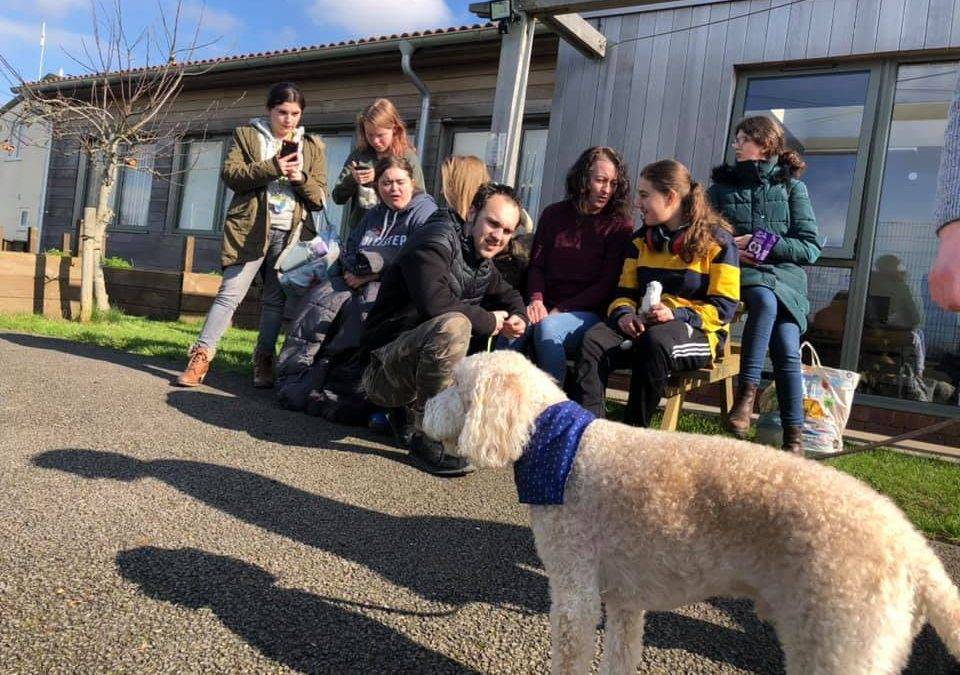 Trainee therapy dogs join Fairfield Farm College