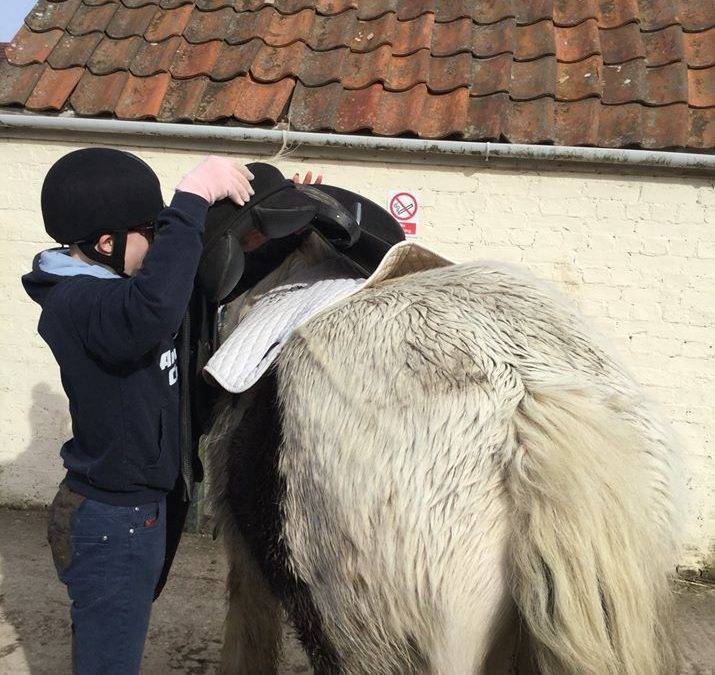 Equine students learn how to fit saddles at Fairfield Farm College