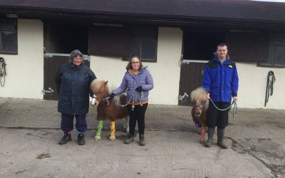 Everyone is embracing odd socks at Fairfield Farm College for World Down Syndrome Day 2020