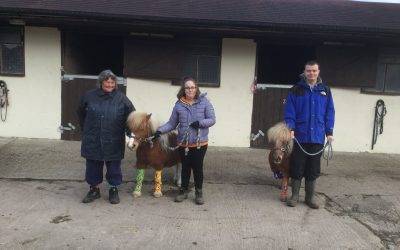 Everyone is embracing odd socks at Fairfield Farm College for World Down Syndrome Day 2020