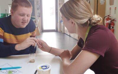 Students start the butterfly project