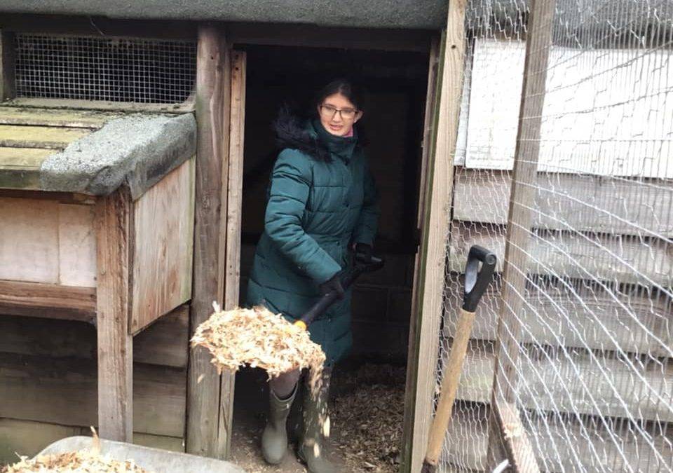 Students busy helping in the Hope Nature Centre Animal Park