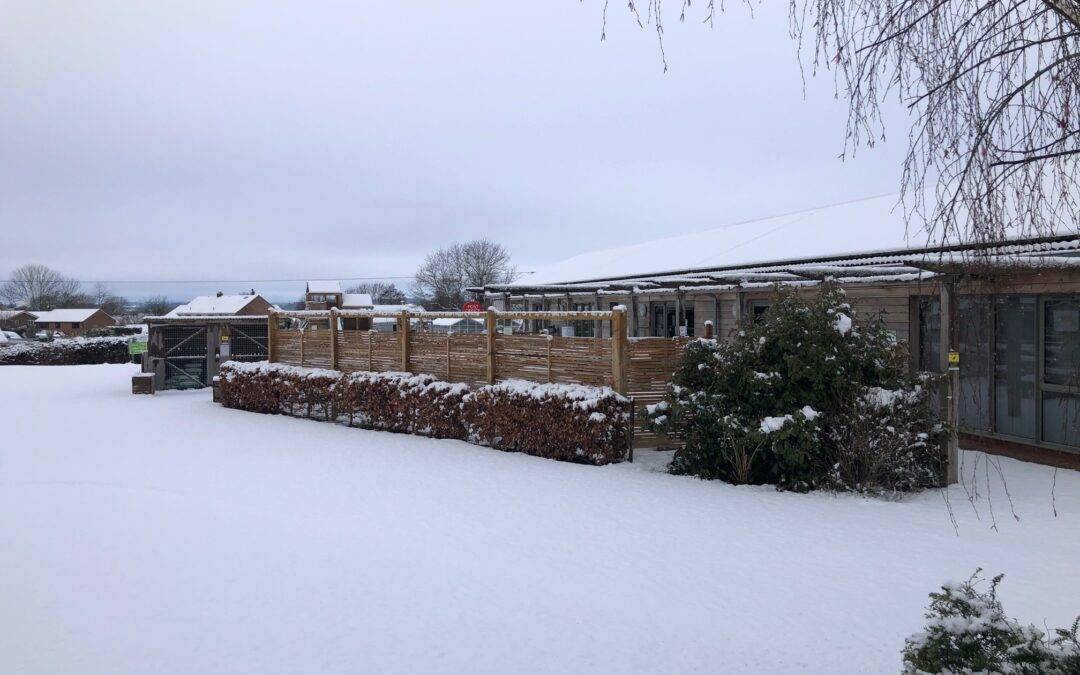 Fairfield Farm College Therapy Dog Sully Enjoys The Snow!