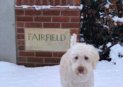 Fairfield Farm College Snow 2021