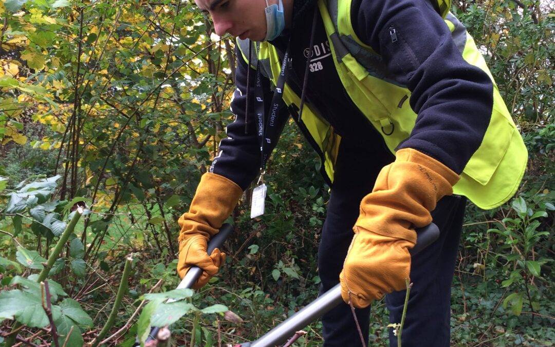 Students enjoy work experience at Palmer Gardens