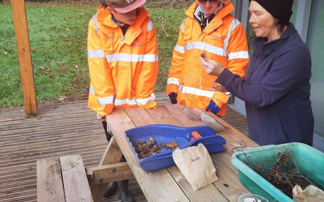 Work experience at Wainwright Quarry and Somerset Earth Science Centre