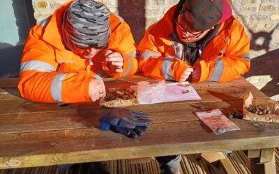 Students return for work experience at Wainwright Quarry