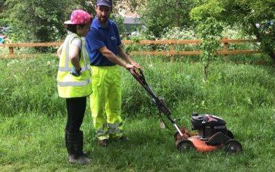 Latest work experience updates from Fairfield Farm College