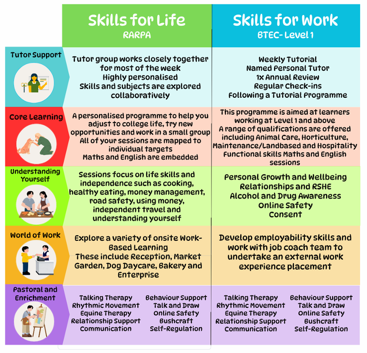 Skills for life, Skills for work diagram
